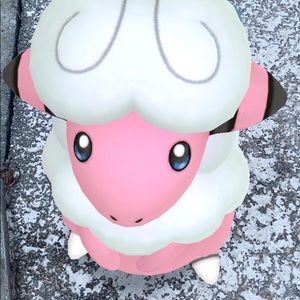 Meet your Posher, Jordan